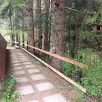 Chalet Squirrel