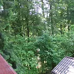 Squirrel Dolna Lehota