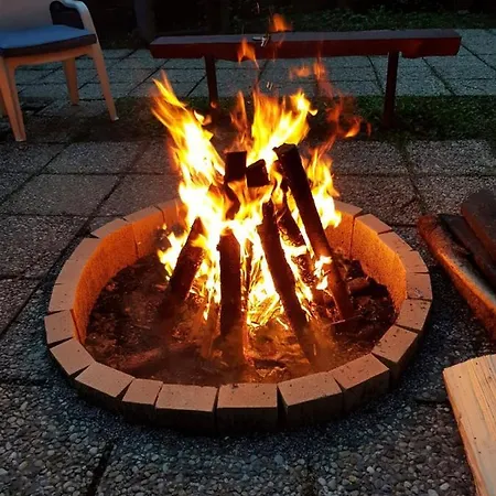 Squirrel * Dolna Lehota