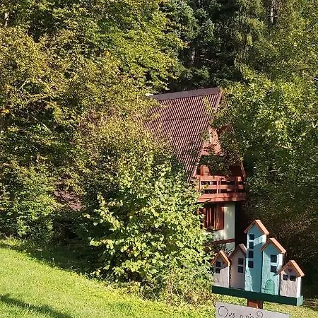 Squirrel * Dolna Lehota