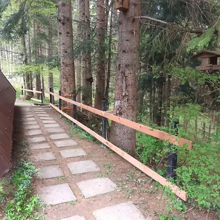 Chalé Squirrel