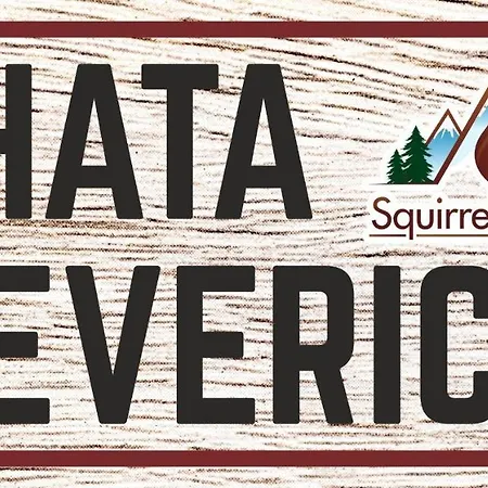 Squirrel Veverica * Dolna Lehota