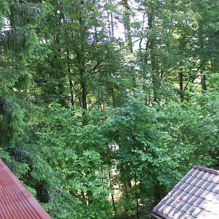 Squirrel Dolna Lehota