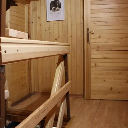 Squirrel * Dolna Lehota