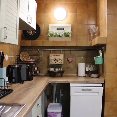 Squirrel Dolna Lehota