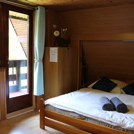 Squirrel * Dolna Lehota